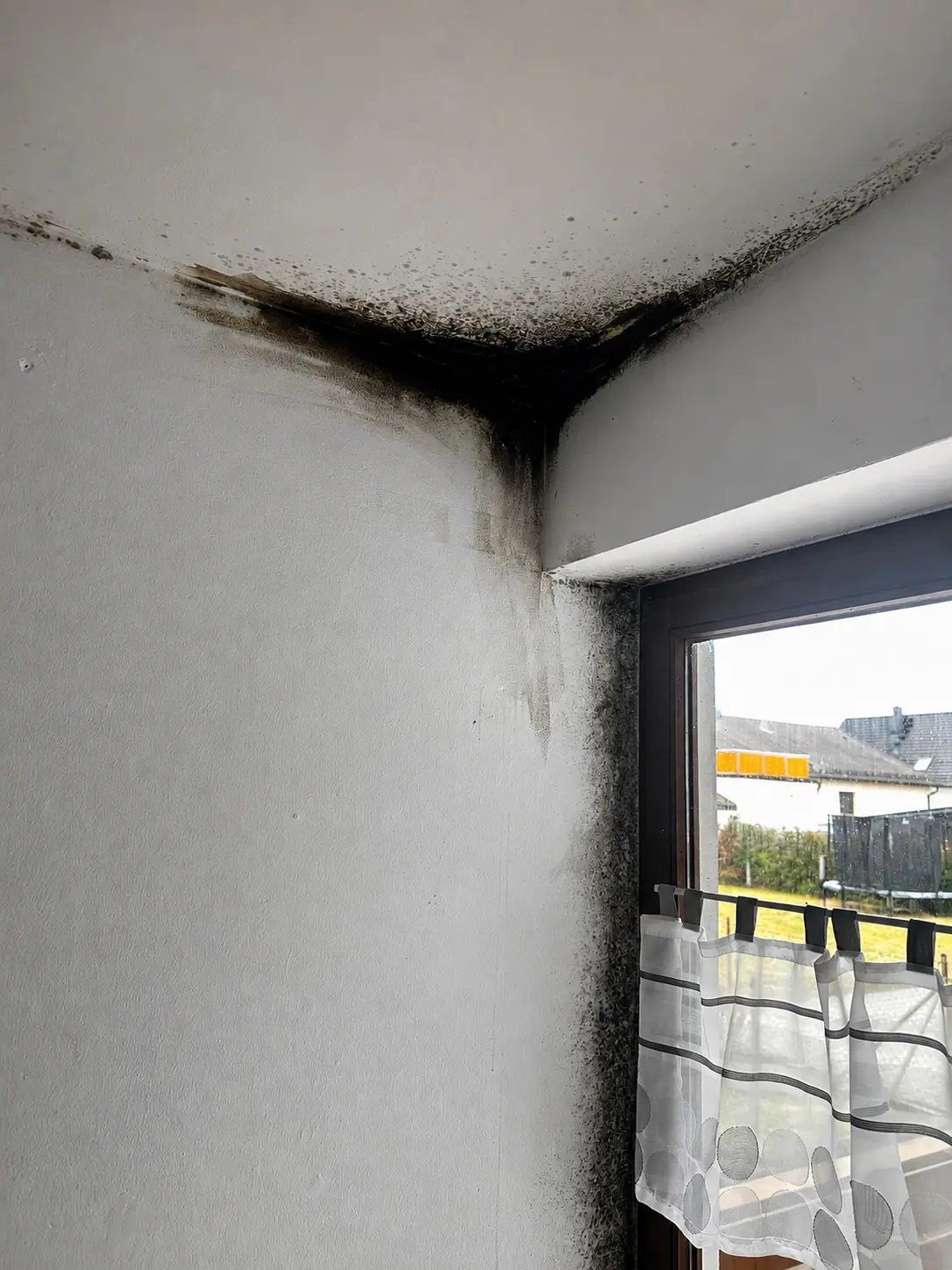 Schimmelschaden an Fensterlaibung und Decke in Hamburg